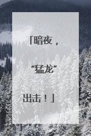 暗夜，“猛龙”出击！