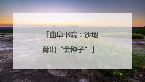 曲阜书院：沙地育出“金种子”