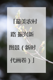 最美农村路 振兴新图景（新时代画卷）