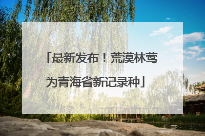 最新发布！荒漠林莺为青海省新记录种