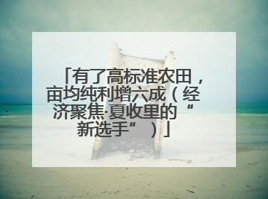 有了高标准农田，亩均纯利增六成（经济聚焦·夏收里的“新选手”）