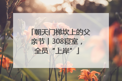 朝天门梯坎上的父亲节丨308寝室，全员“上岸”