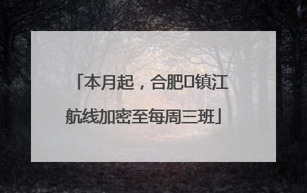 本月起，合肥⇋镇江航线加密至每周三班