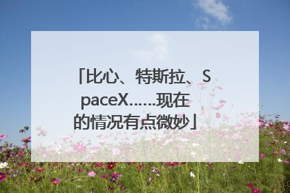 比心、特斯拉、SpaceX……现在的情况有点微妙