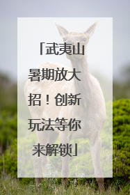 武夷山暑期放大招！创新玩法等你来解锁