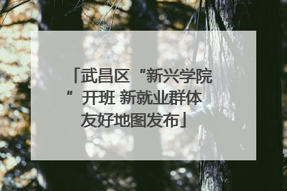 武昌区“新兴学院”开班 新就业群体友好地图发布