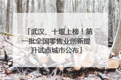 武汉、十堰上榜！第一批全国零售业创新提升试点城市公布