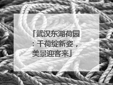 武汉东湖荷园：千荷绽新姿，美景迎客来