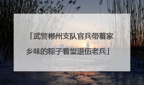 武警郴州支队官兵带着家乡味的粽子看望退伍老兵