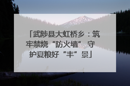 武陟县大虹桥乡：筑牢禁烧“防火墙” 守护夏粮好“丰”景