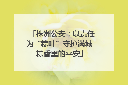 株洲公安：以责任为“粽叶”守护满城粽香里的平安