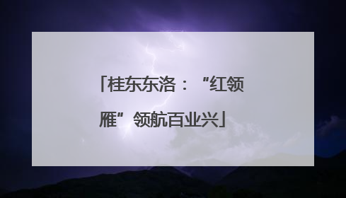 桂东东洛：“红领雁”领航百业兴