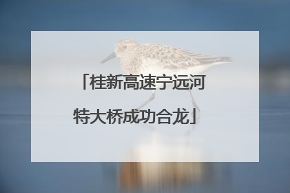 桂新高速宁远河特大桥成功合龙