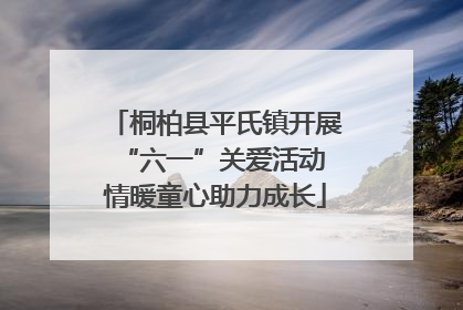 桐柏县平氏镇开展“六一”关爱活动 情暖童心助力成长