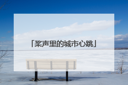 桨声里的城市心跳