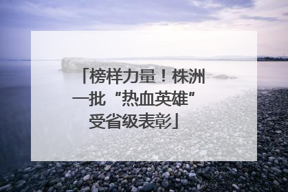 榜样力量！株洲一批“热血英雄”受省级表彰