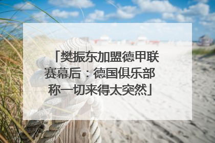 樊振东加盟德甲联赛幕后：德国俱乐部称一切来得太突然