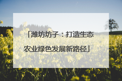 潍坊坊子：打造生态农业绿色发展新路径