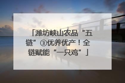 潍坊峡山农品“五链”③优养优产！全链赋能“一只鸡”