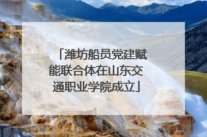 潍坊船员党建赋能联合体在山东交通职业学院成立