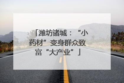 潍坊诸城：“小药材”变身群众致富“大产业”