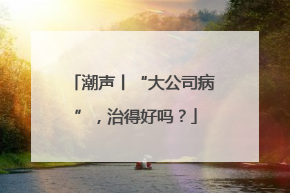 潮声丨“大公司病”，治得好吗？