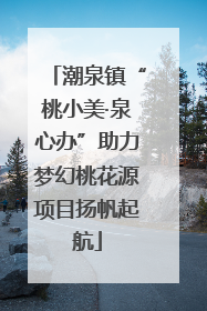 潮泉镇“桃小美·泉心办”助力梦幻桃花源项目扬帆起航