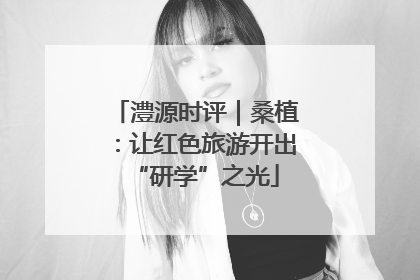 澧源时评｜桑植：让红色旅游开出“研学”之光