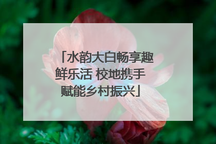 水韵大白畅享趣鲜乐活 校地携手赋能乡村振兴