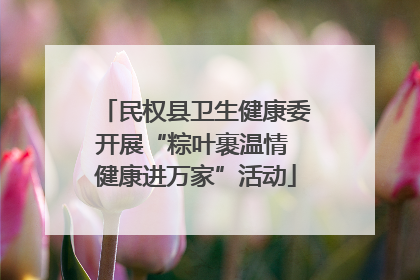 民权县卫生健康委开展“粽叶裹温情 健康进万家”活动