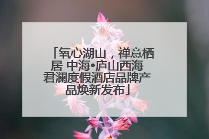 氧心湖山，禅意栖居 中海•庐山西海君澜度假酒店品牌产品焕新发布