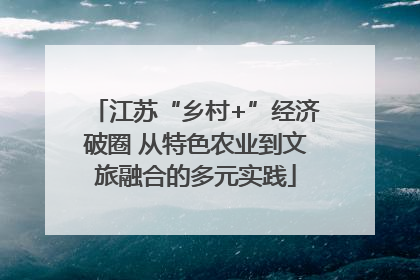 江苏“乡村+”经济破圈 从特色农业到文旅融合的多元实践