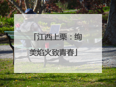 江西上栗：绚美焰火致青春