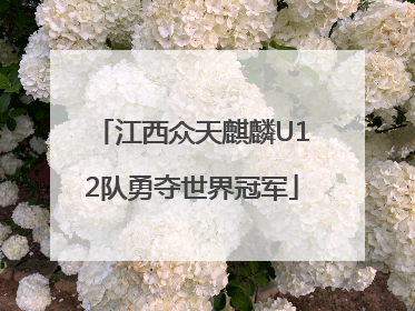 江西众天麒麟U12队勇夺世界冠军