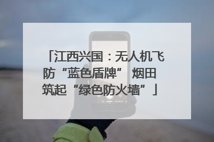 江西兴国：无人机飞防“蓝色盾牌” 烟田筑起“绿色防火墙”