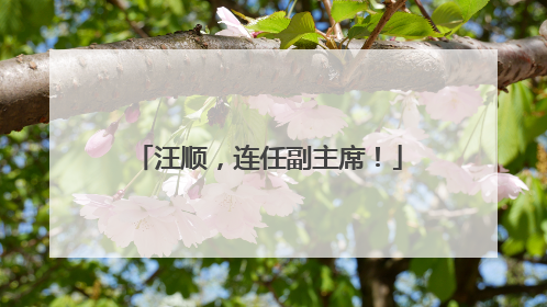 汪顺，连任副主席！