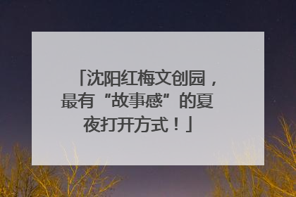 沈阳红梅文创园，最有“故事感”的夏夜打开方式！