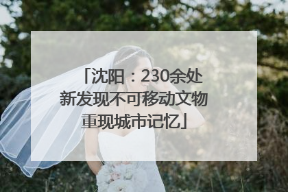 沈阳：230余处新发现不可移动文物重现城市记忆