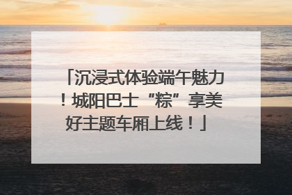 沉浸式体验端午魅力！城阳巴士“粽”享美好主题车厢上线！