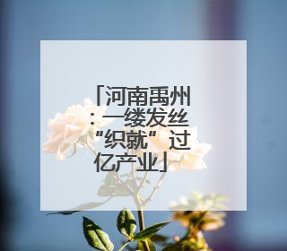 河南禹州：一缕发丝“织就”过亿产业