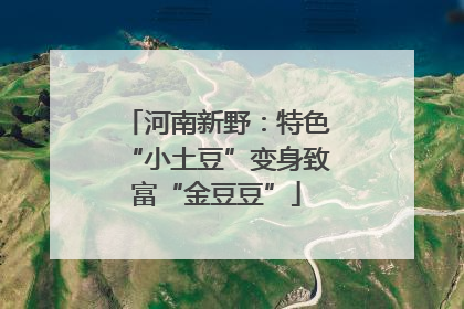 河南新野：特色“小土豆”变身致富“金豆豆”