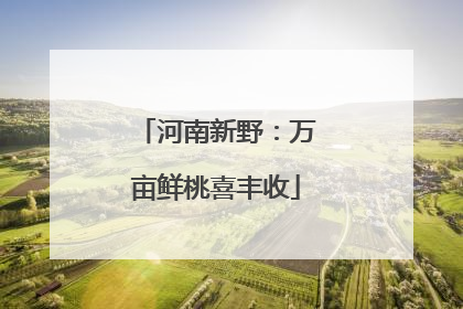 河南新野：万亩鲜桃喜丰收