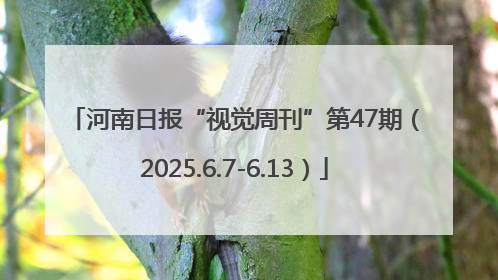 河南日报“视觉周刊”第47期（2025.6.7-6.13）
