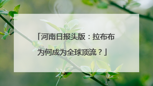 河南日报头版：拉布布为何成为全球顶流？