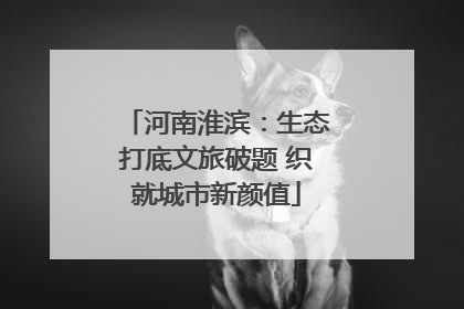 河南淮滨：生态打底文旅破题 织就城市新颜值