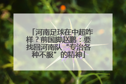 河南足球在中超咋样？前国脚赵鹏：要找回河南队“专治各种不服”的精神