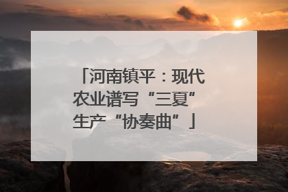河南镇平：现代农业谱写“三夏”生产“协奏曲”