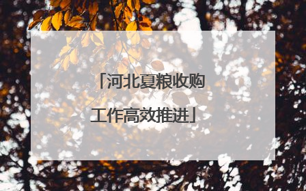 河北夏粮收购工作高效推进