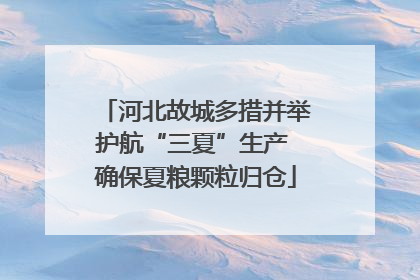 河北故城多措并举护航“三夏”生产 确保夏粮颗粒归仓