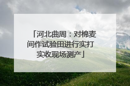 河北曲周：对棉麦间作试验田进行实打实收现场测产